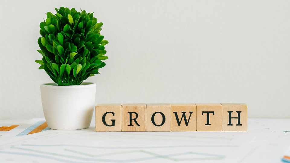 Business Transitions and Expansions